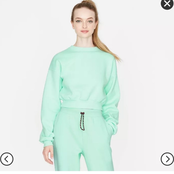 Wild Fable cropped sweatshirt mint small NWT